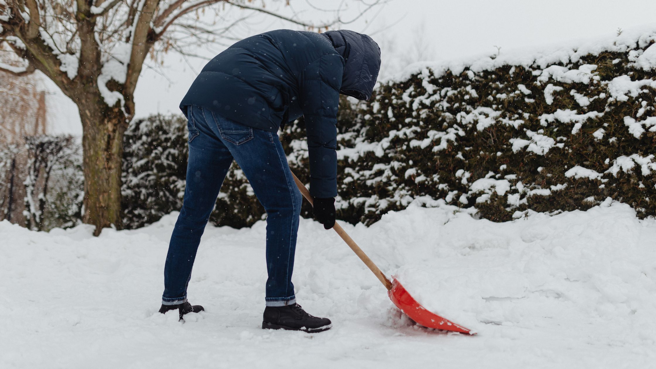 1月　ブログ④ (1)