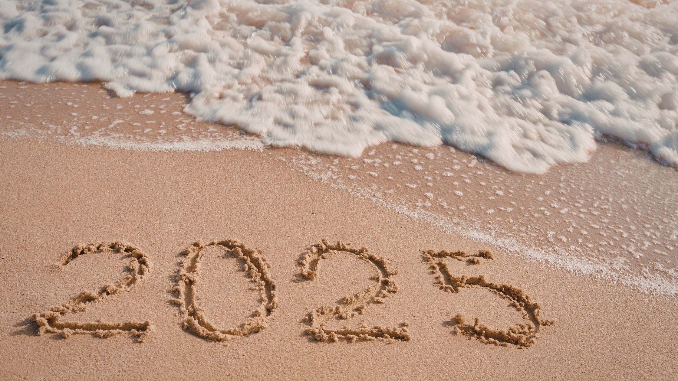 整体 年末 (7) 整体 年末 (7)