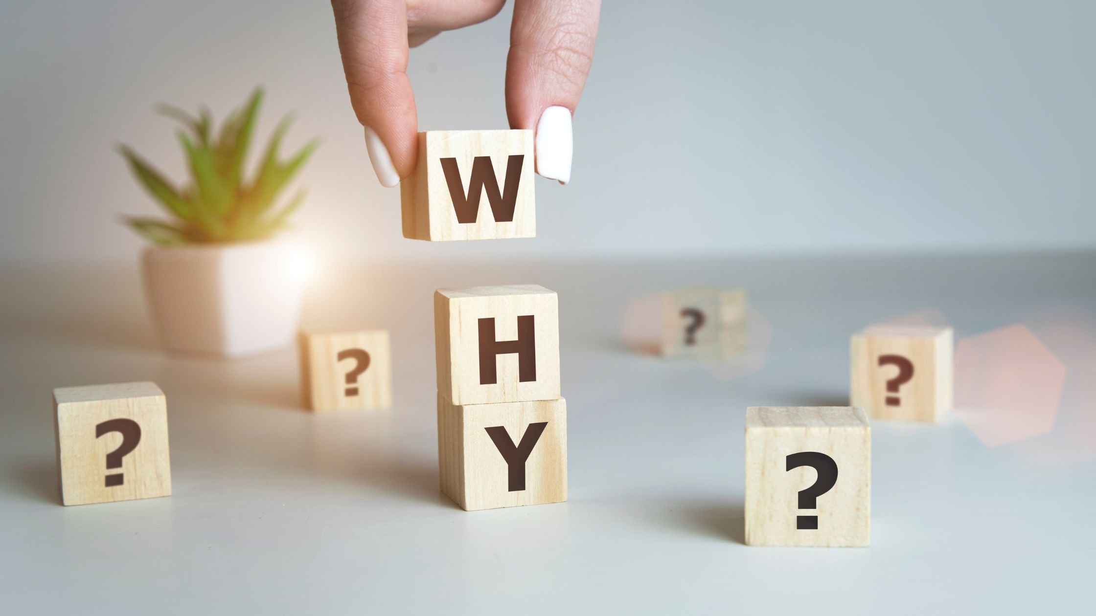 北京都デジタルパーク2025 (2)